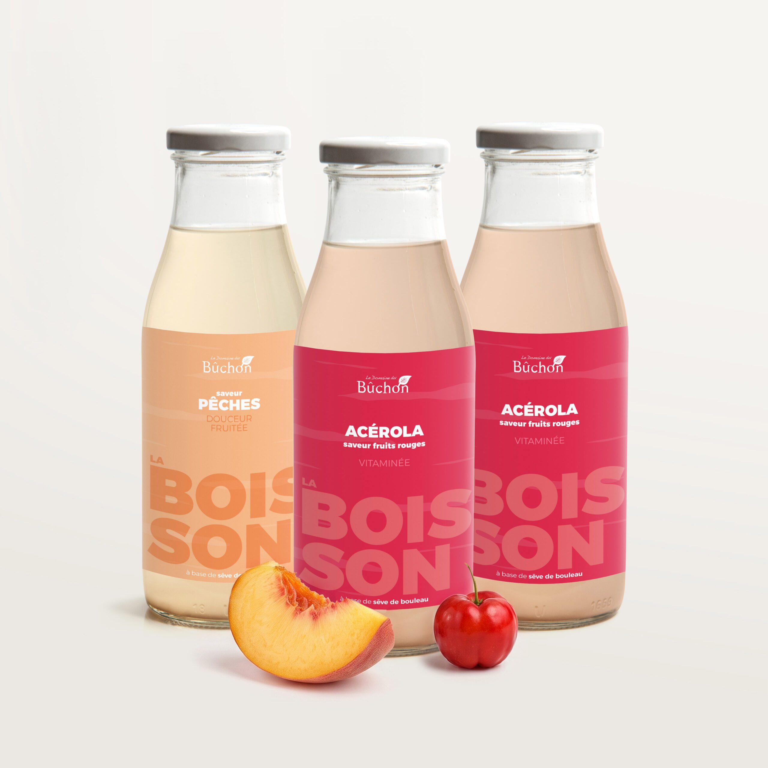 Pack de 3 boissons pêches et saveur fruits rouges bio - Le Domaine du Bûchon