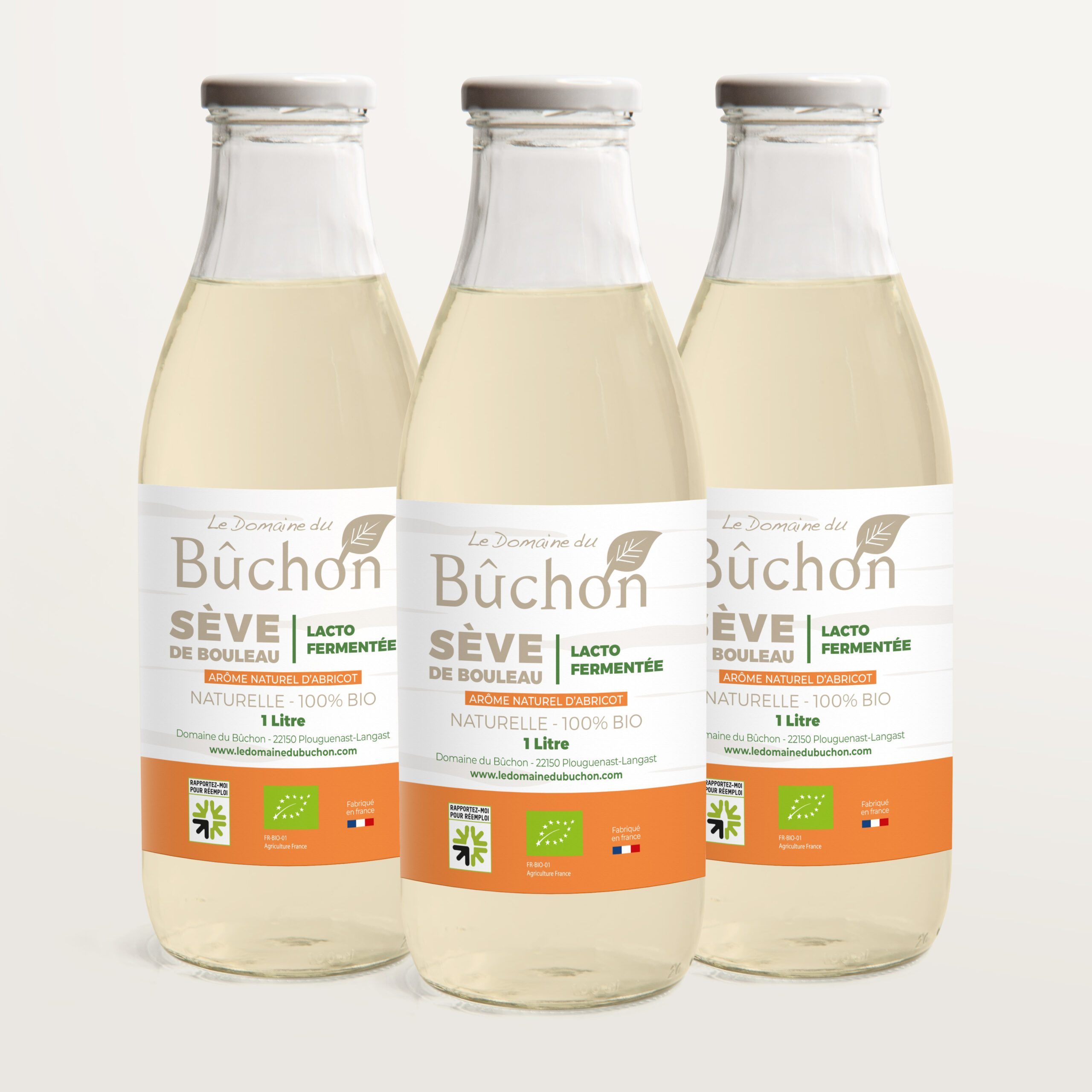 Cure de sève de bouleau bio lacto-fermentée Abricot en bouteilles verre